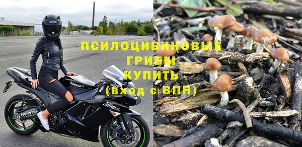 твердый Алексеевка