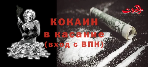 твердый Алексеевка