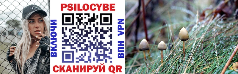 наркота  ОМГ ОМГ рабочий сайт  Псилоцибиновые грибы Cubensis  Выкса 
