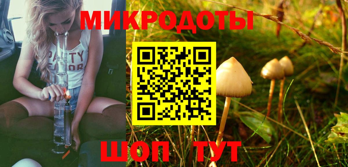 Галлюциногенные грибы Psilocybe  Вход с VPN  Выкса 