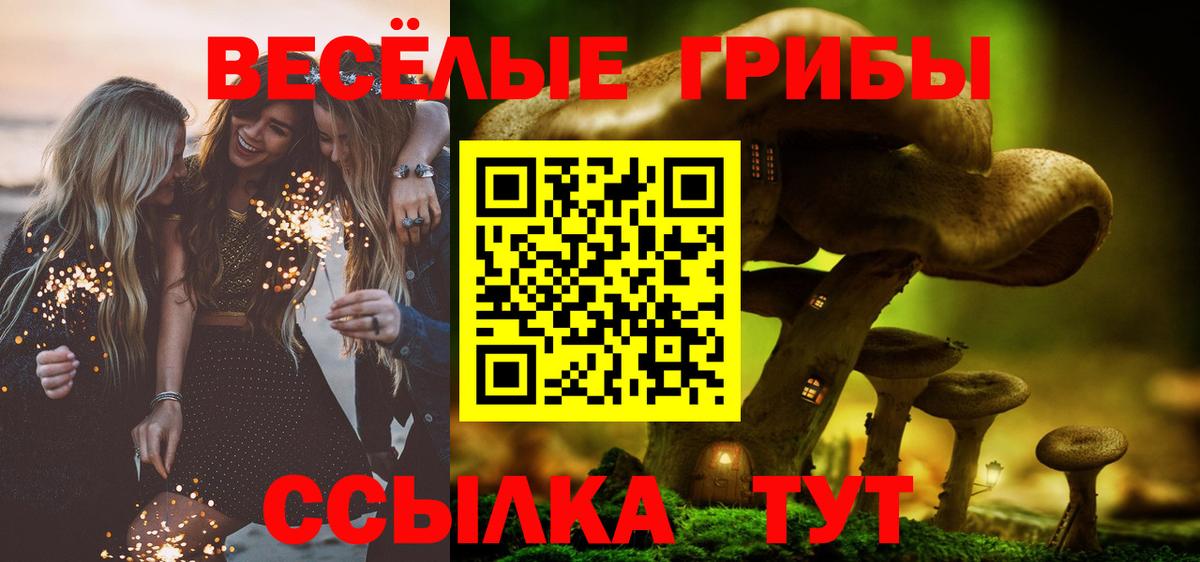Псилоцибиновые грибы Psilocybine cubensis Выкса